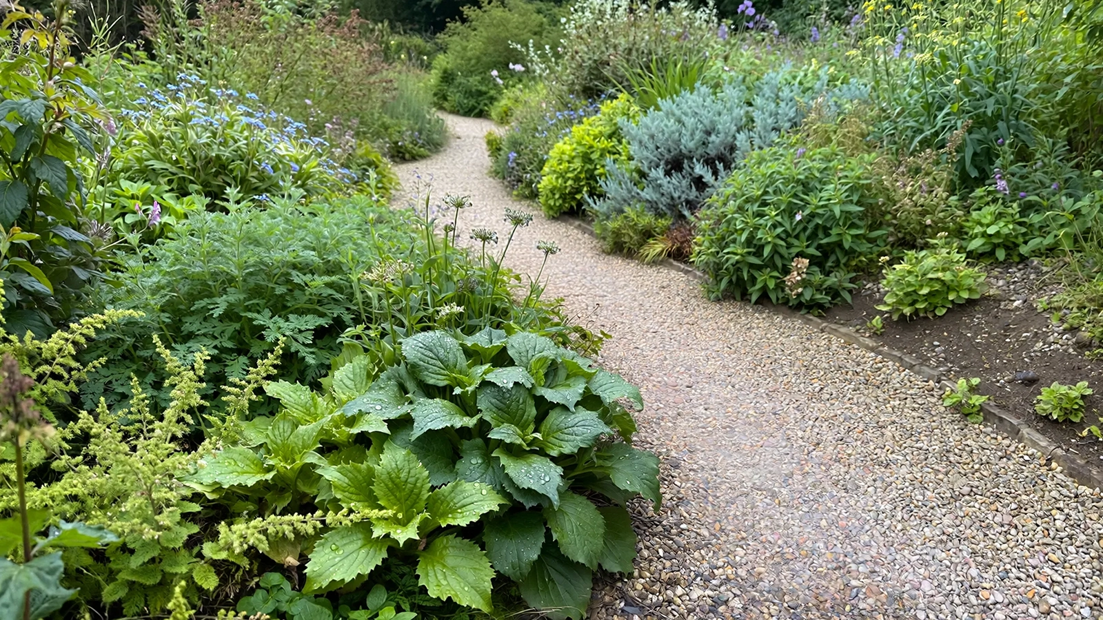 A garden pathway that guides movement gently through a balanced outdoor space.