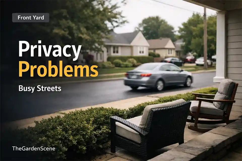 Front porch seating exposed to passing cars in a front yard on a busy street with low shrubs and open sightlines