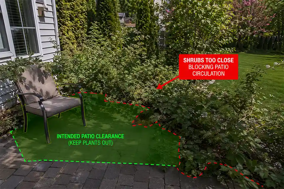 Mature shrubs planted too close to a backyard patio crowding the seating area and spilling over the paver edge