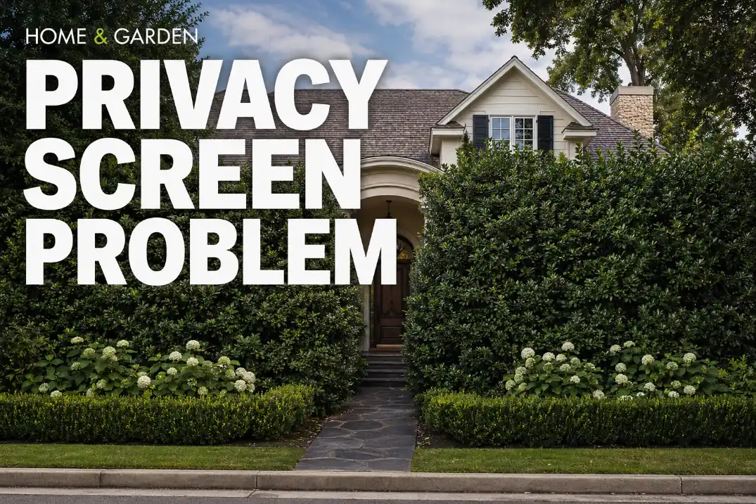 Oversized front yard privacy shrubs hiding the front entry and making curb appeal feel closed off