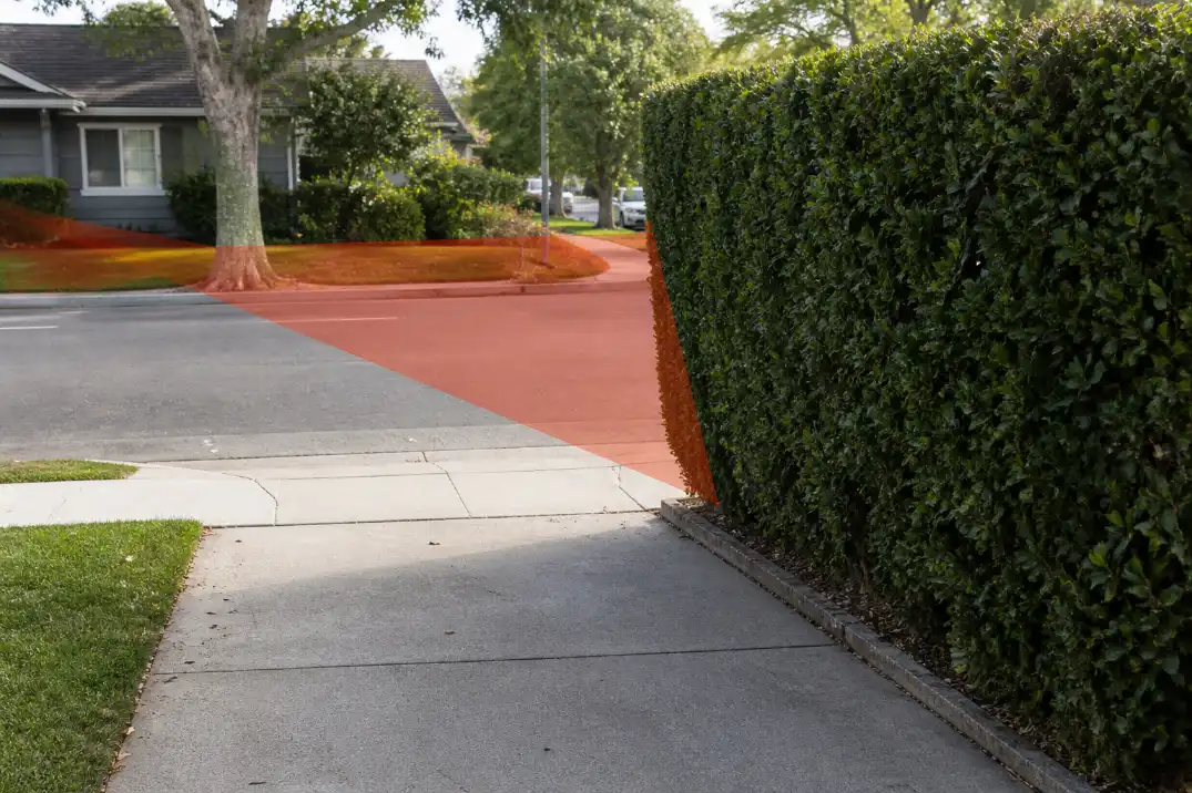 Tall front yard hedge near a driveway blocking the sightline toward the sidewalk and street.